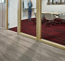 Forbo Allura Ease 60280EA7 grey giant oak фото 3 | FLOORDEALER
